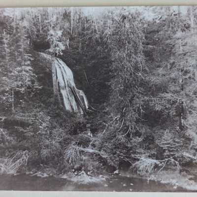 Photograph