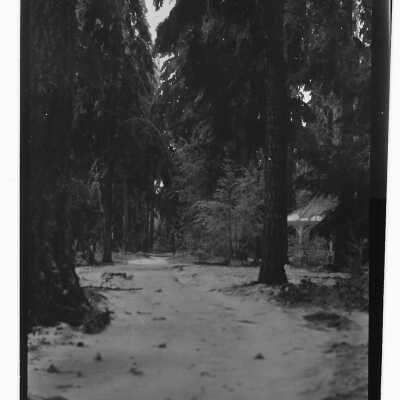 Estacada Park in Winter