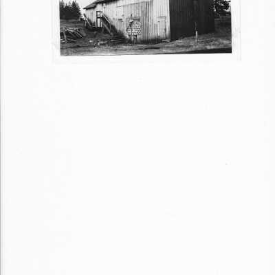 Prune Drier shed