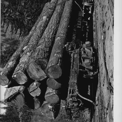 Train car loaded with logs