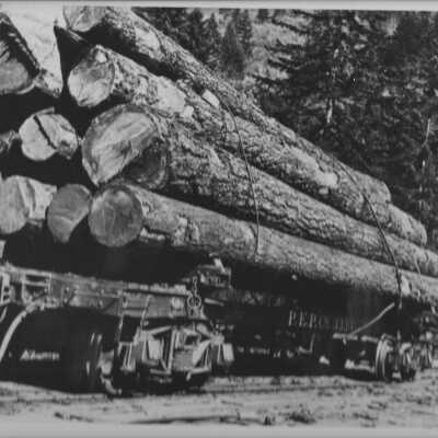 Train Car with logs