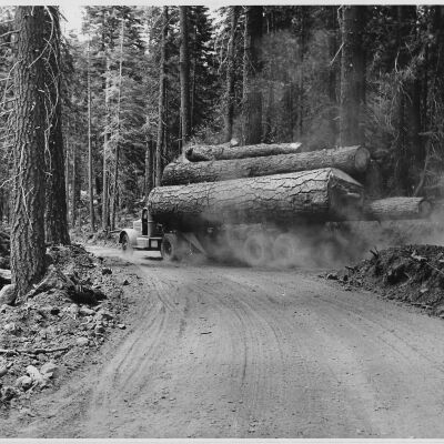Log Truck