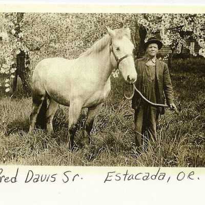 Davis Family of Garfield/Estacada