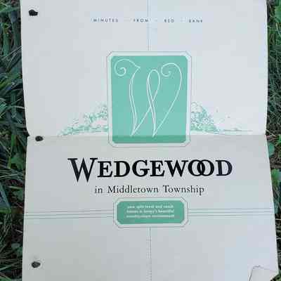 Wedgewood Flyer