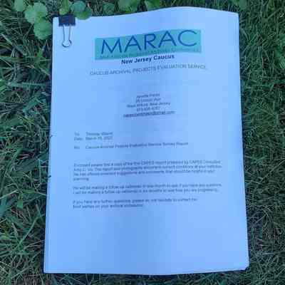 MTHS Archive Assessment