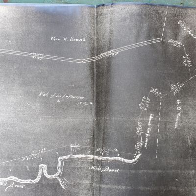 Nagle Farm Map