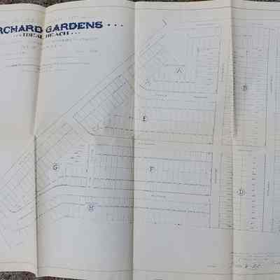 Orchard Gardens
