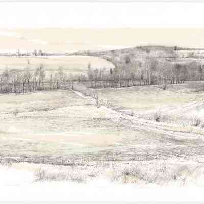 Winter Fields