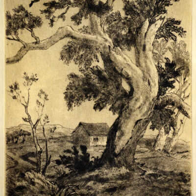 The Broken Tree