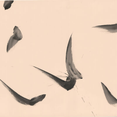 Untitled (Mozart series)