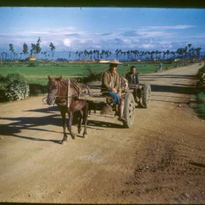 Pony Cart, Kunming, China