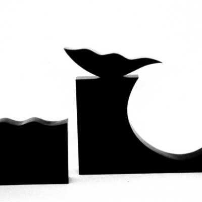 Black Box VII, Aspects of Nature II (Black Box series)
