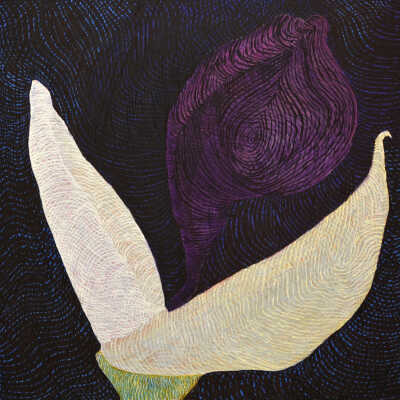 The Last Iris