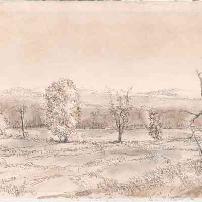 Williamson's Farm
