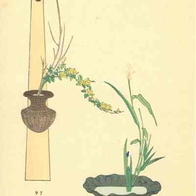 untitled botanical print (Plates 97 & 98)