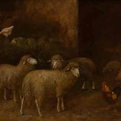 Sheep Fold