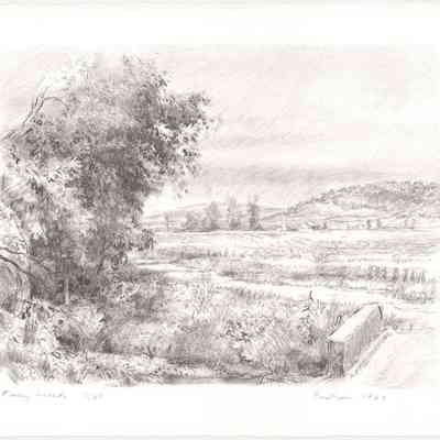Town Creek