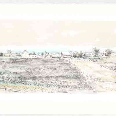 Flory's Field