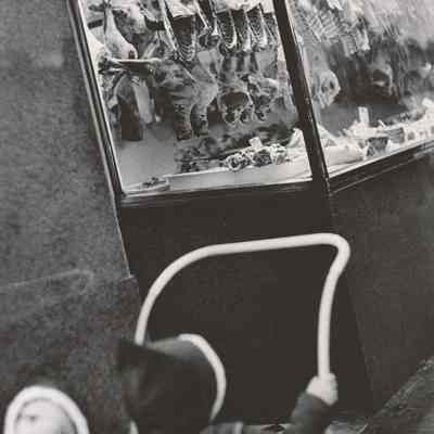 Babies Outside a Butcher's Shop, Dublin