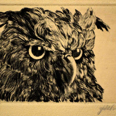 Untitled (owl)