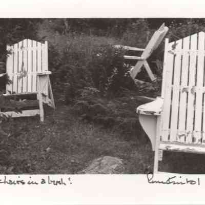 3 Chairs in a Bush!