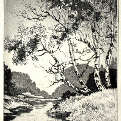 Aspens