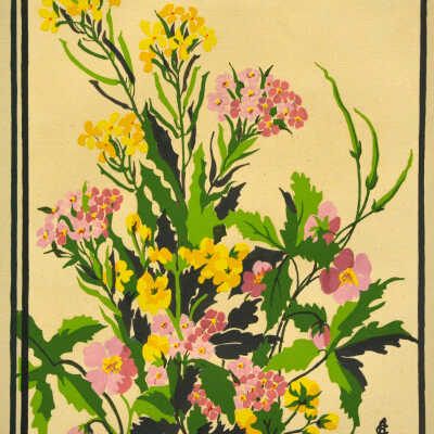 Verbenas, Wallflowers, Cinquefoil and Geranium