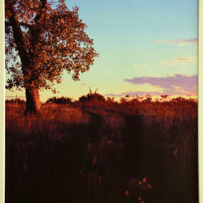#2 Nature