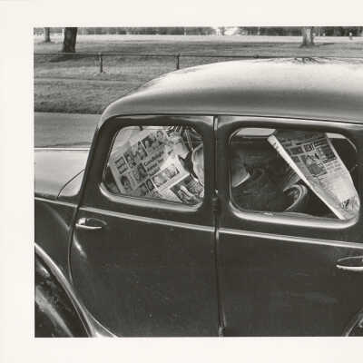 Reading the Papers, Phoenix Park, Dublin