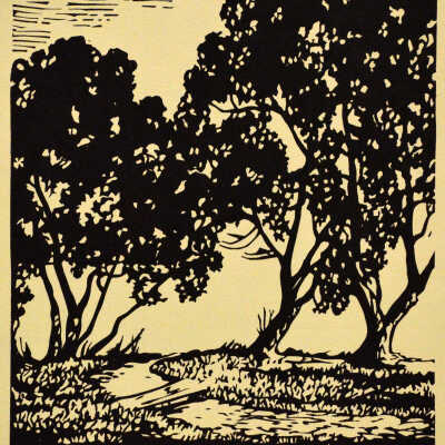 Willows