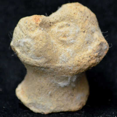 Molded-Terracotta Monkey head