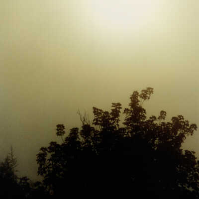 Sunrise In The Fog II