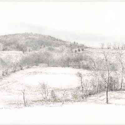 Vinland Spring