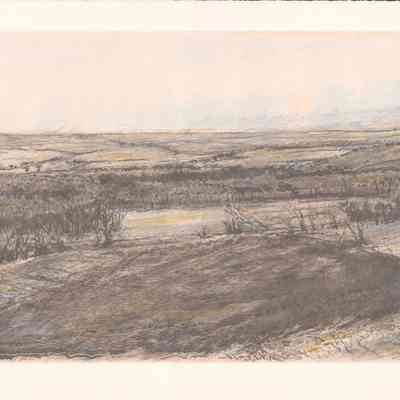Long View
