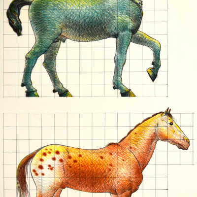 Study of a Classical and a Modern Horse