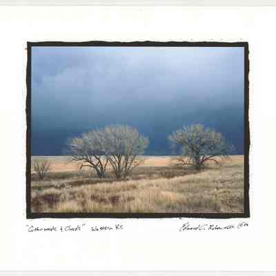 Cottonwoods & Clouds, Western KS