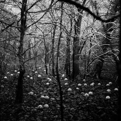 Scattering Seeds (from The Hereditary Estate)