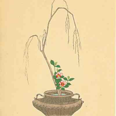 untitled botanical print (Plate 90)