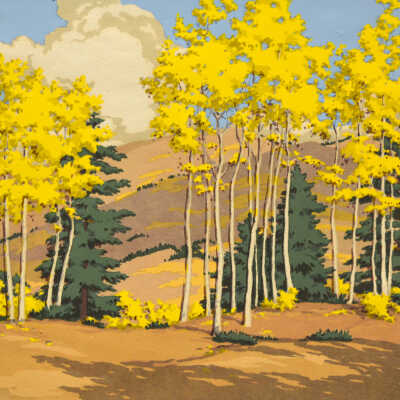 Aspen and Spruce