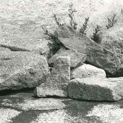 Untitled (Incidental America portfolio)