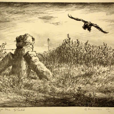 Edge of the Field