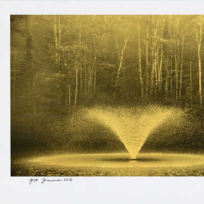 Fountains and Birches