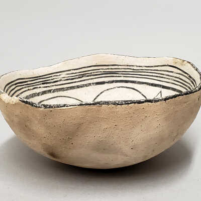 Mimbres bowl with bug