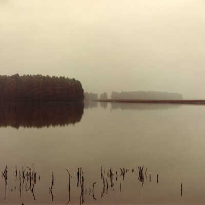 American Bottom: Muller's Cypress, 1993