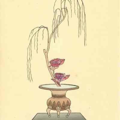 untitled botanical print (plate 2)