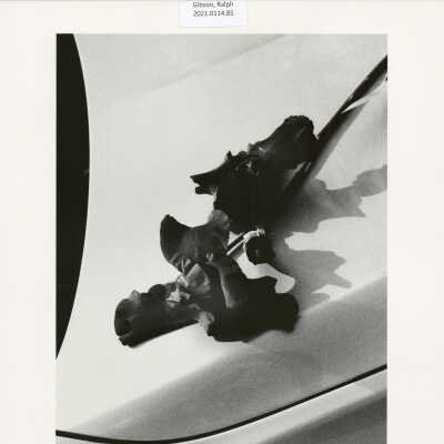 Untitled (from MONO, p. 45)