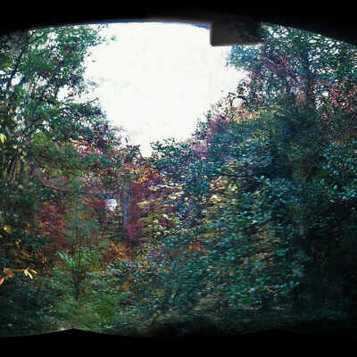 Fall at LES