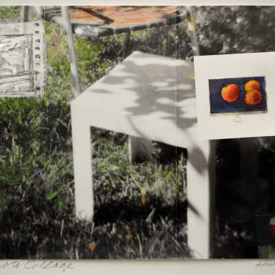 Untitled photo collage