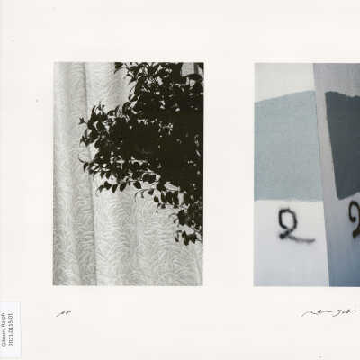Untitled (from Political Abstraction)