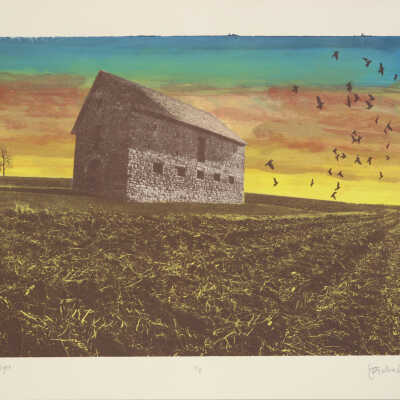Farmland Flight